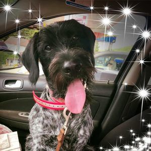 Meet your Posher, Sally